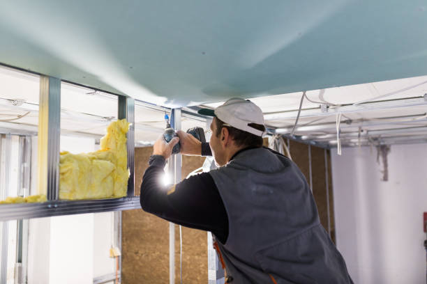 Best Energy Efficiency Insulation in Williamstown, NJ