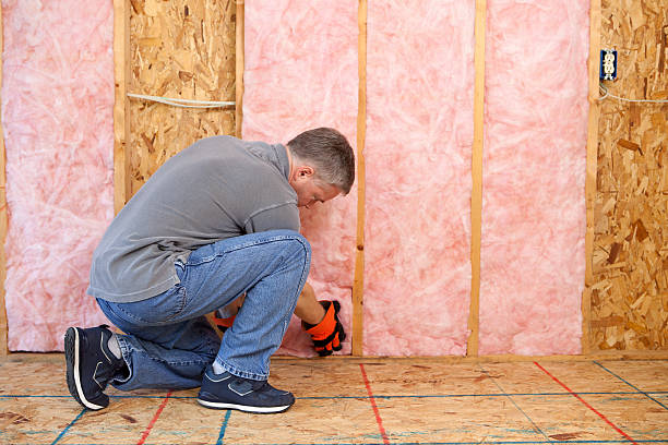 Best Eco-Friendly Insulation in Williamstown, NJ