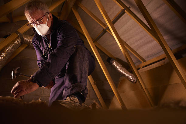 Best Energy Efficiency Insulation in Williamstown, NJ