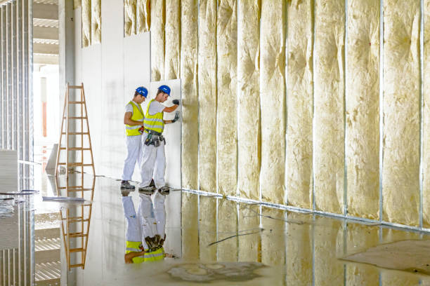 Best Insulation Maintenance and Repair in Williamstown, NJ